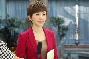 欧阳夏丹个人资料,从央视主播到知名主持人的蜕变之路