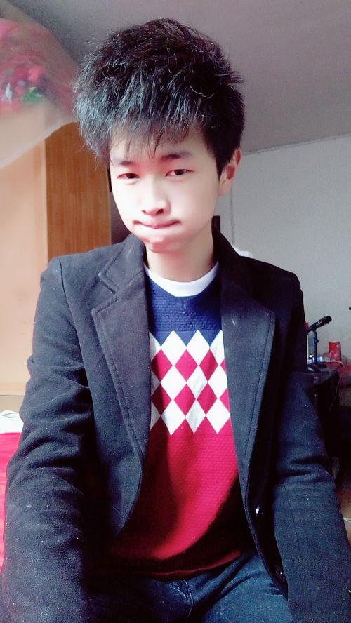 何汝诚个人资料,才华横溢的青年才俊,多领域成就斐然 第2张 何汝诚个人资料,才华横溢的青年才俊,多领域成就斐然 第2张