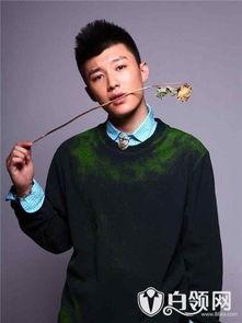 刘尊个人资料年龄,岁月如歌，探寻音乐大师的青春足迹