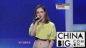 方妮努尔资料,探寻多元文化的璀璨明珠  第3张