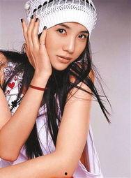 张黎导演资料,光影艺术与时代精神的探索者  第2张